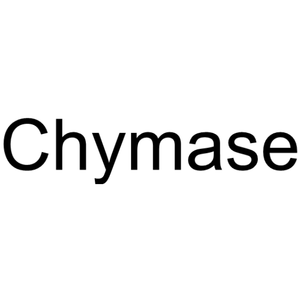 Chymase 97501-92-3